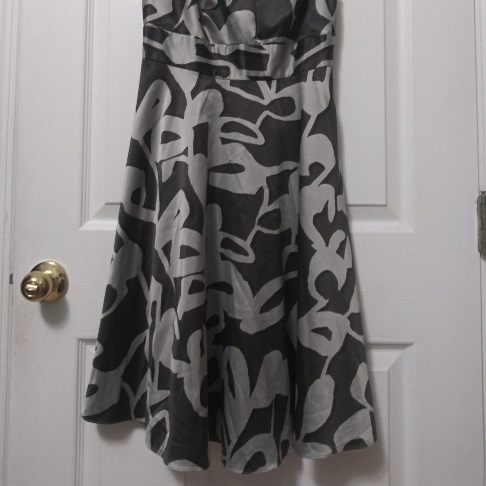 The Limited Dress - Picture 5 of 5